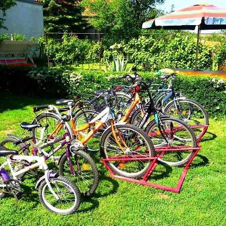 Apartments In Heviz - Balaton 18903