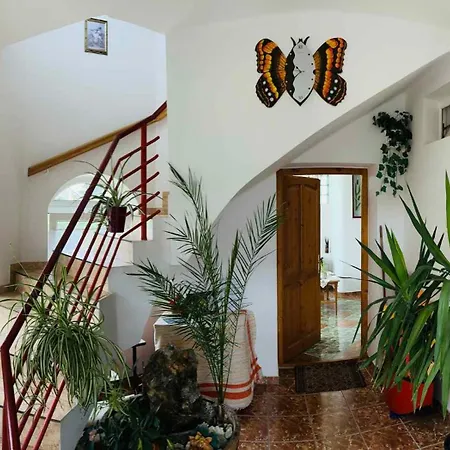 Apartment Apartments In Heviz - Balaton 18903 Hévíz